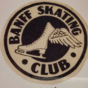 Cover image of Skating Patch